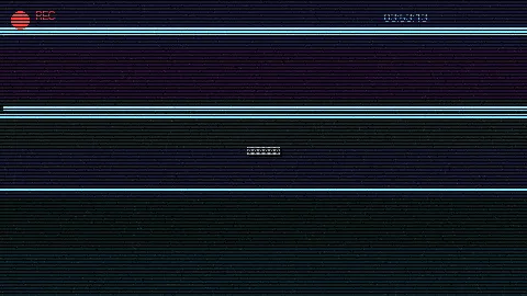 周末随拍记录 - 月夜在线观看免费完整 原创视频